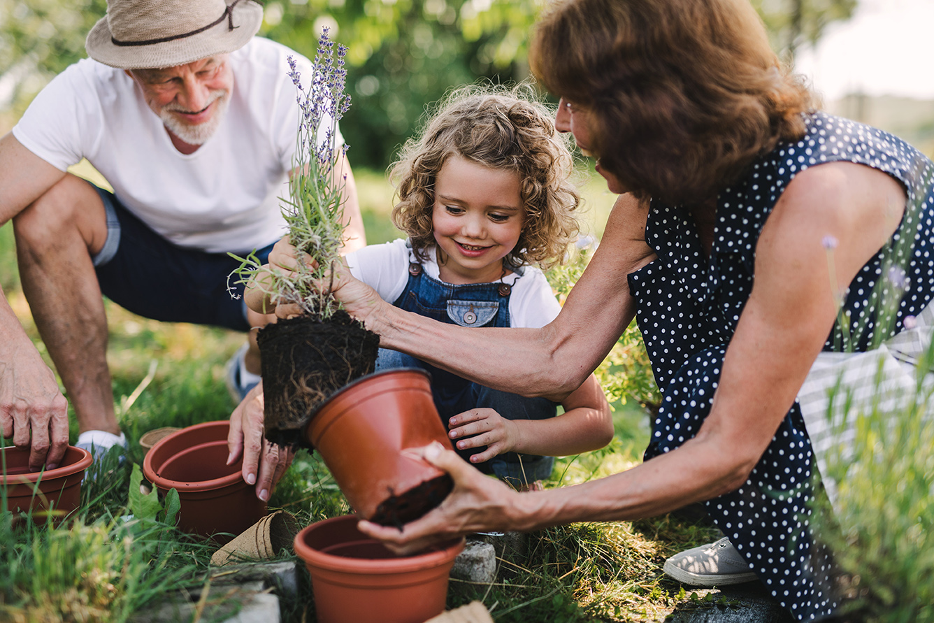 grandparents and granddaughter gardening